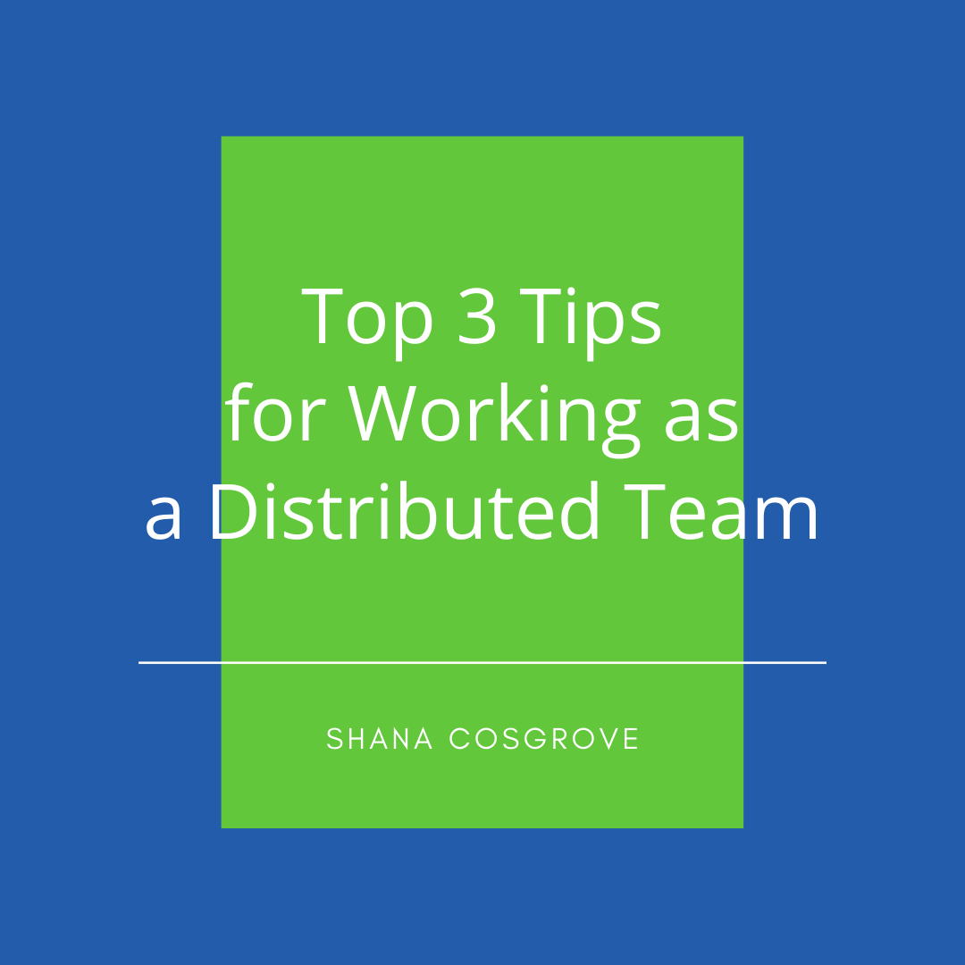Working as a Distributed Team